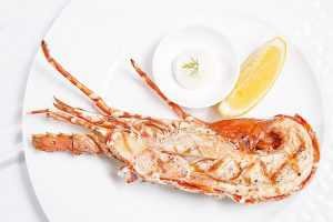 01 Cafe Cardinal Crustacean Extravaganza 2