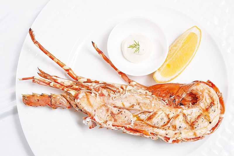 01 Cafe Cardinal Crustacean Extravaganza 2