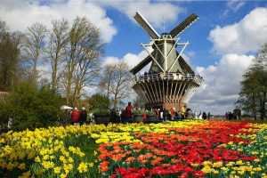 WOMENLIFELe hoi Keukenhof
