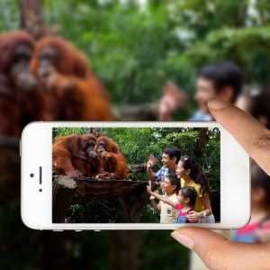 womenlifeWildlife reserved Singapore
