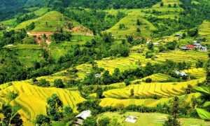 womenlifeHoang Su Phi 1 1