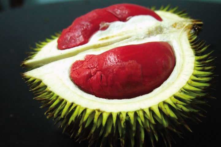 Hành trình theo dấu sầu riêng 5 Hanh trinh theo dau sau rieng Amthuc 701 2017 4 1