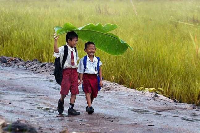 two kids under a banana leaf in the rain indonesia 24158433