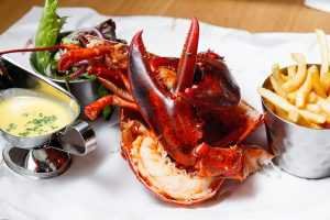 Canadian lobster 2