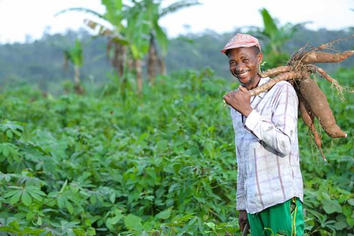 Giải thưởng cao nhất năm 2016 thuộc về tổ chức Agro Hub ở Cameroon với sáng kiến hỗ trợ cộng đồng nông dân trồng sắn nâng cao chất lượng sản phẩm và kết nối với hệ thống tiêu thụ. 1