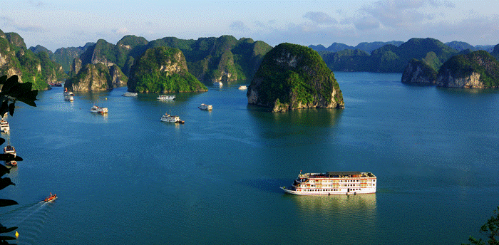 Những resort gần Hà Nội thích hợp cho nghỉ dưỡng gia đình 22 w1huong hai sealife cruise on halong bay