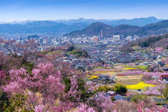 wHanamiyama park 1
