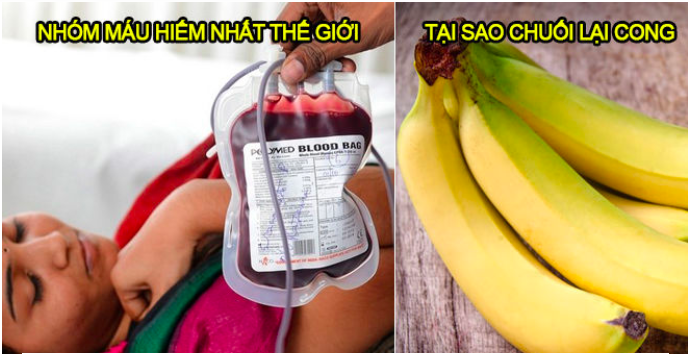 Những sự thật đáng ngạc nhiên trên thế giới gây bất ngờ cho cả người "biết tuốt" 13 Screen Shot 2017 12 16 at 9.05.49 SA