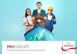 womenlife.net PRU Gắn Kết Ngang 1