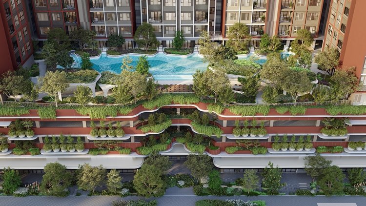 Orchard Heights Top View Swimming Pool
